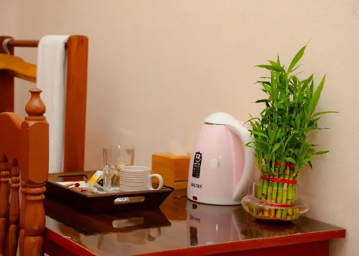 Homestay The Nestle Cozy